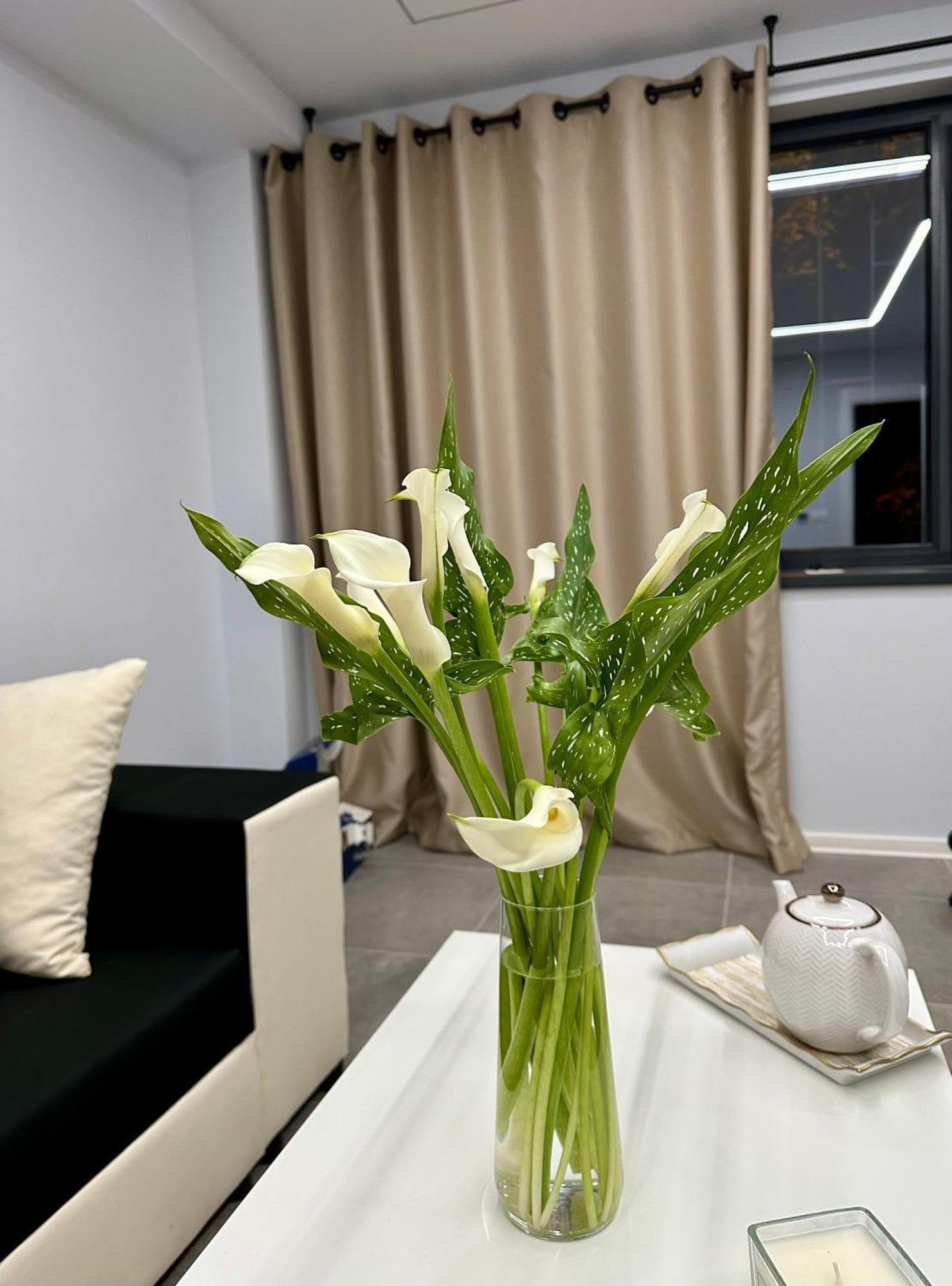 Ppu Home Temeşvar Dış mekan fotoğraf