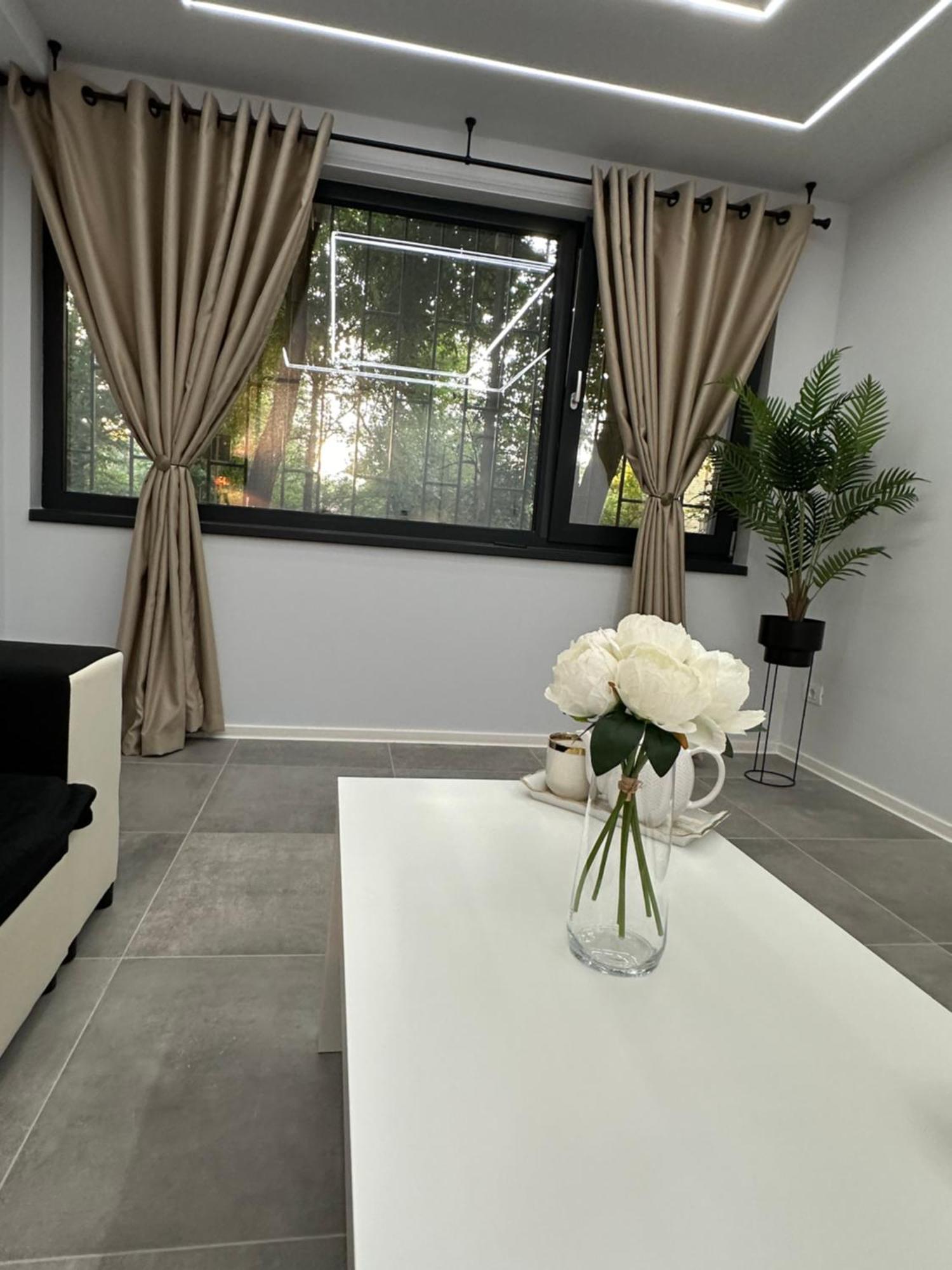 Ppu Home Temeşvar Dış mekan fotoğraf
