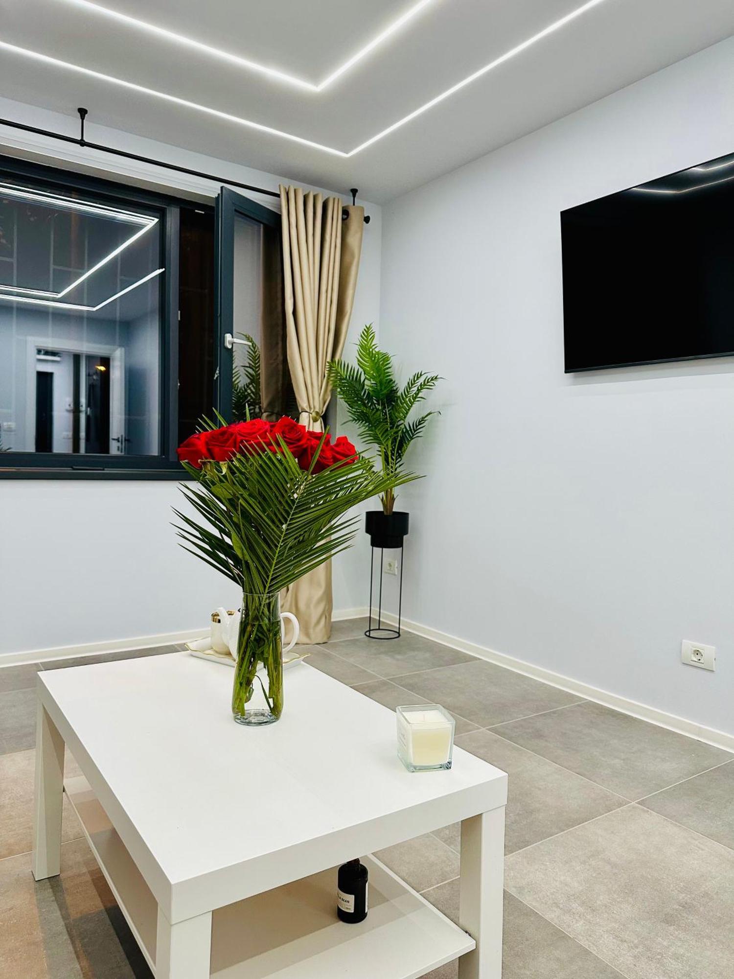 Ppu Home Temeşvar Dış mekan fotoğraf